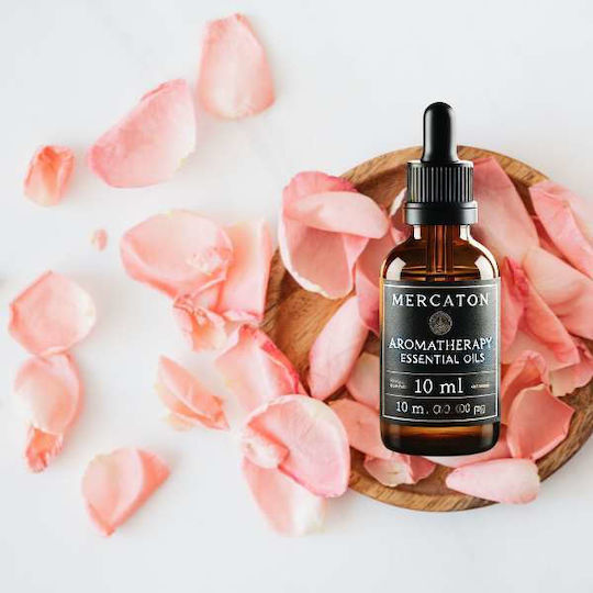 Aromatisches Öl Kamille 10ml 1Stück