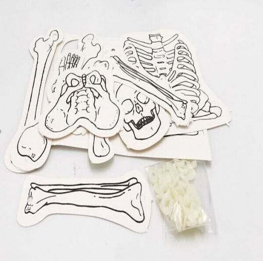 NGS Construction Toy Human Skeleton