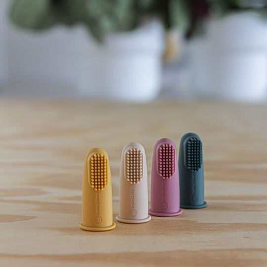 Petite & Mars Petite & Mars Baby-Zahnbürsten Ring für 0m+ 2 Stück Bunte