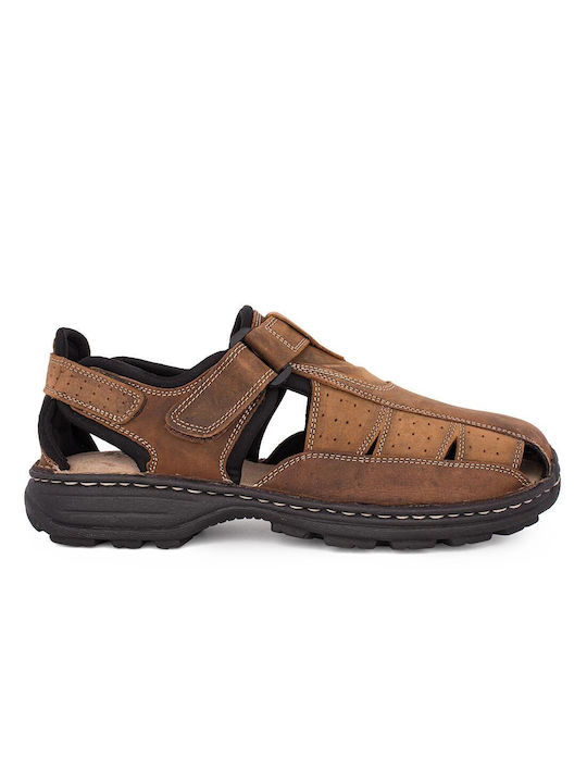 Castor Anatomic Men's Sandals Brown