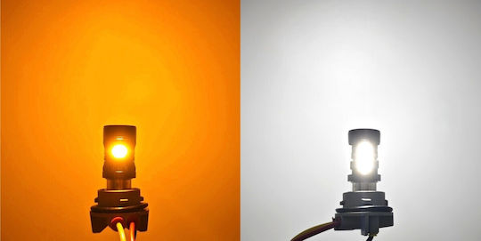 Lămpi Autoturismului P21/5W LED 5500K Alb rece 12V 1buc