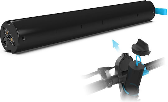 Blaupunkt ESC808 Elektroroller für Kinder mit 25km/h Max Geschwindigkeit und 20km Reichweite in Schwarz Farbe