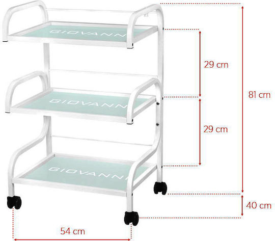 Beauty Roll Hair Salon Maintenance Cart