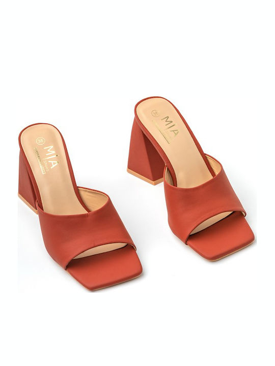 Mules mit Chunky Hoch Absatz in Braun Farbe