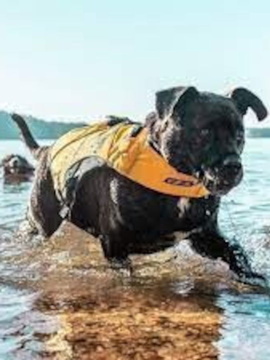 Ezydog Σωσίβιο Σκύλου Αδιάβροχο Γαλάζιο