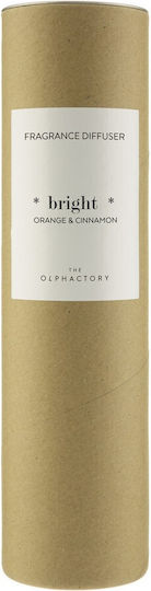Αρωματικό Χώρου Στικς 250ml Orange & Cinnamon Bright Diffuser Olphactory
