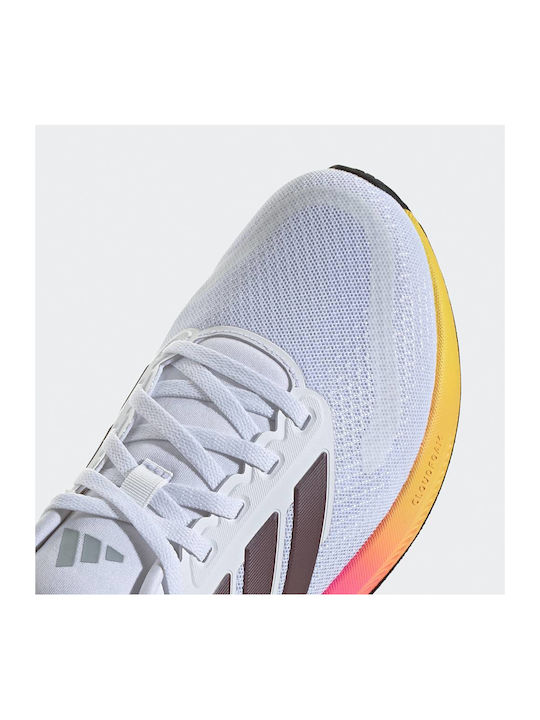 Runfalcon 5 Sport Shoes Running White