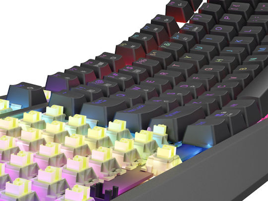 Genesis Thor 230 TKL Wireless Gaming Mechanical Keyboard Tenkeyless with Outemu Silent Lemon switches and RGB lighting (English US)