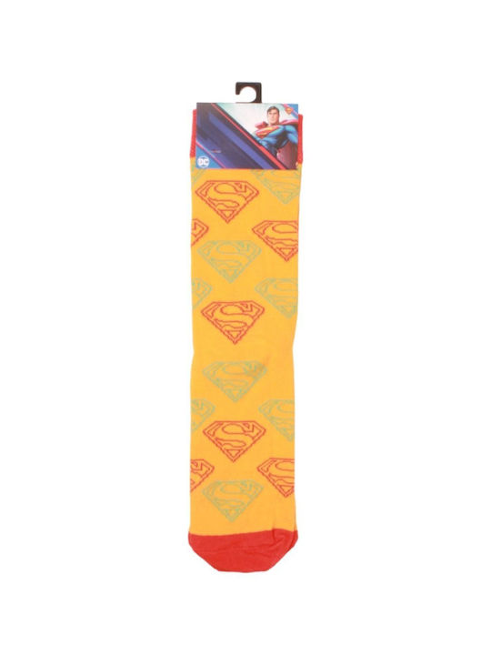 Dc Comics Women's Multicolour Socks 3 Pack