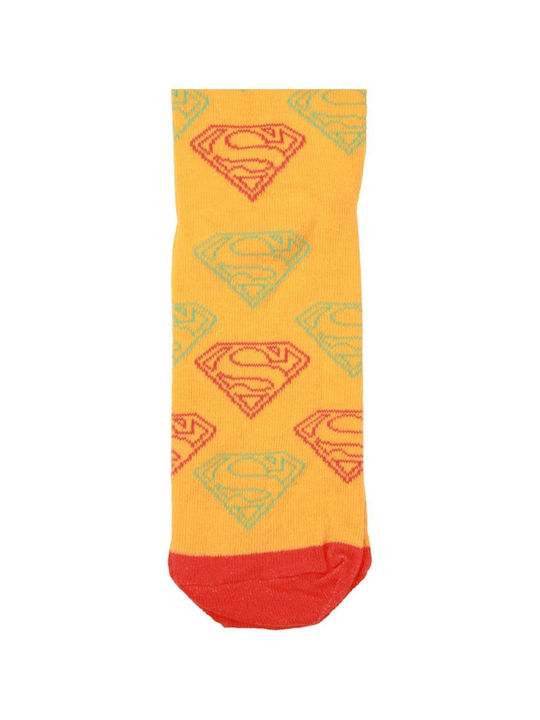 Dc Comics Women's Multicolour Socks 3 Pack