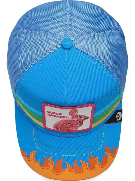 Going and Going and… Women's Jockey Blue