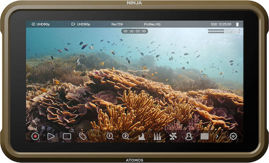 Atomos Ninja Monitor - Recorder