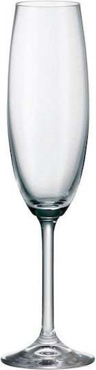 Bohemia Colibri Pahar de sampanie din Cristal Pahar cu picior 220ml