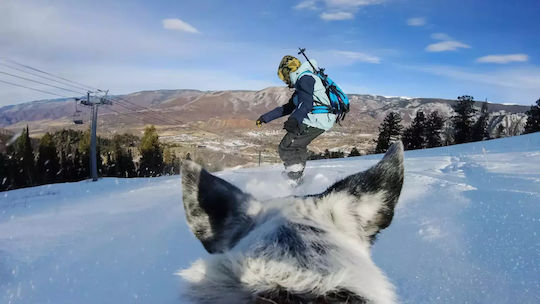 GoPro Fetch (Dog Harness) Dog Support Base for GoPro