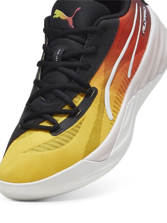 All-Pro Nitro Showtime Niedrig Basketballschuhe Mehrfarbig