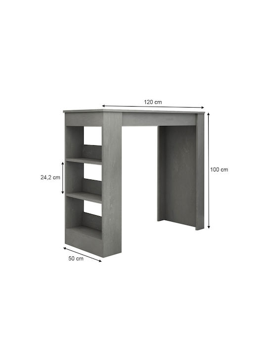 Deep Masă Bar Gri 120x50x100buc