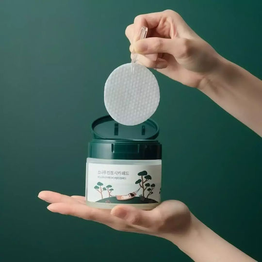 Round Lab Gesichtswasser Tonic Pads mit Centella Asiatica