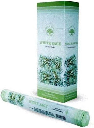 Aromatische Räucherstäbchen Green Tree Weißer Salbei Weißer Salbei 20 Stück