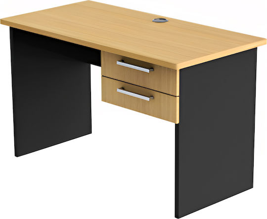 Επαγγελματικό Γραφείο Eglantine 120x60x75εκ. Φυσικό/ανθρακί
