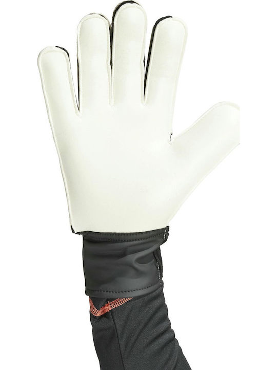 adidas Copa Gl Clb Adults Goalkeeper Gloves Purple
