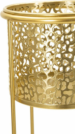 Mauro F Planter Metal Gold 17x17x46cm.