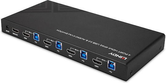 Lindy KVM & Data Switch 39313