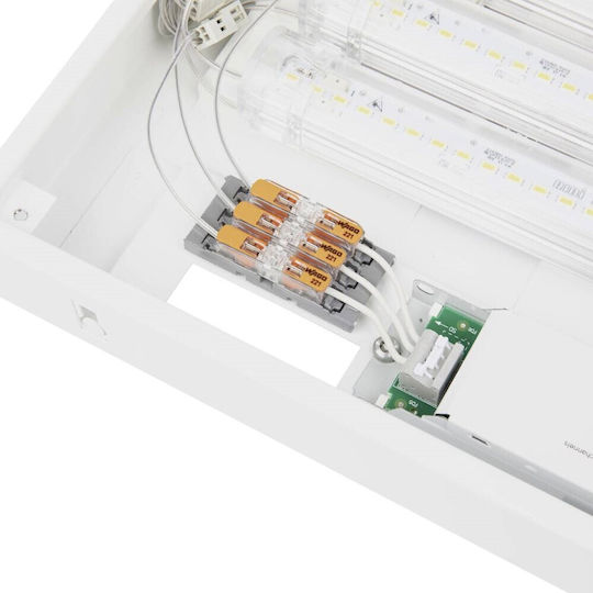 Wago Quick Connect Terminal 2 Ports 221-2411 1 Piece