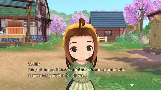Story Of Seasons: A Wonderful Life Begrenzt Edition PS5-Spiel