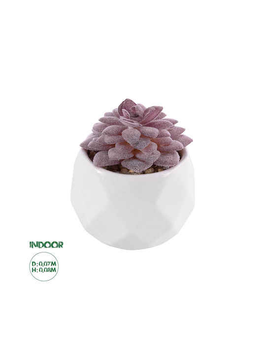 Globostar Künstliche Gartensukkulente Sedeveria 21005 Dekorative Pflanze Sukkulente Sedeveria H8cm