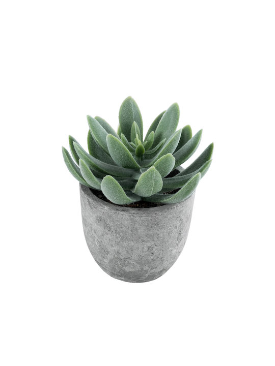 Globostar Artificial Garden Succulent Sedeveria 21025 Decorative Plant Succulent Sedeveria H10.5cm