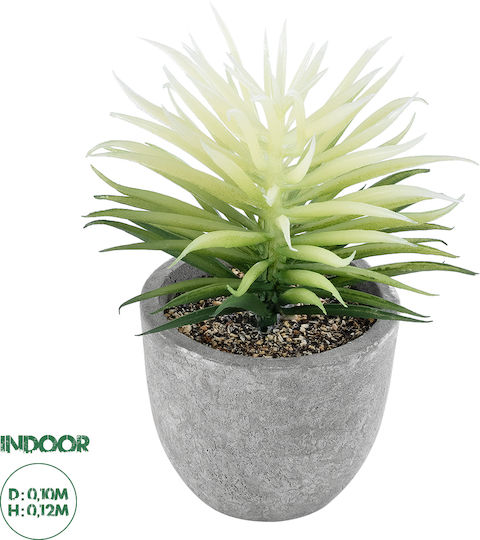 Globostar? Plantă suculentă decorativă artificială pentru grădină, Senecio 21024, suculentă groasă decorativă, Senecio, H12cm Globostar? Plantă suculentă decorativă artificială pentru grădină, Senecio 21024, suculentă groasă decorativă, Senecio, H12cm