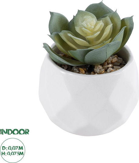 Plantă decorativă artificială Globostar Succulentă Echeveria pentru grădină artificială 20980 Succulentă Echeveria decorativă H7.5cm Plantă decorativă artificială Globostar Succulentă Echeveria pentru grădină artificială 20980 Succulentă Echeveria decorativă H7.5cm