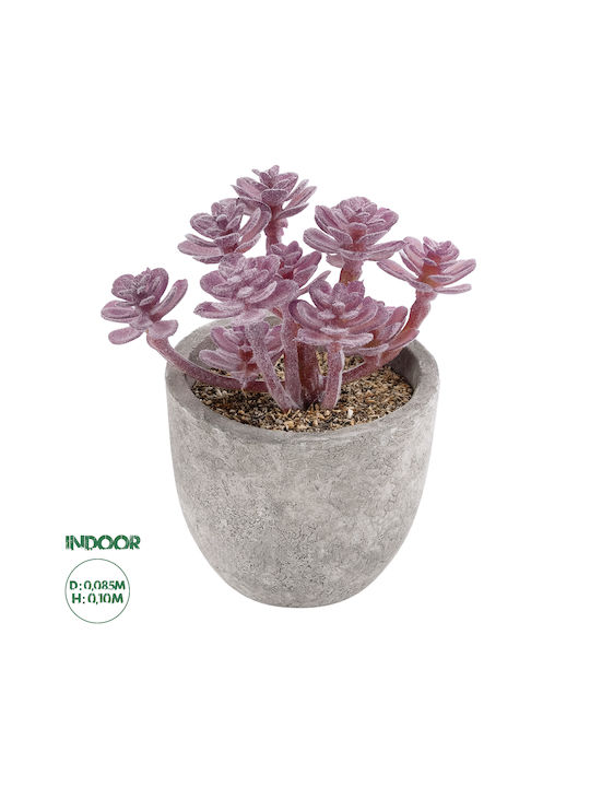 Globostar Artificial Garden Succulent Sedum 21017 Decorative Plant Succulent Sedum H10cm