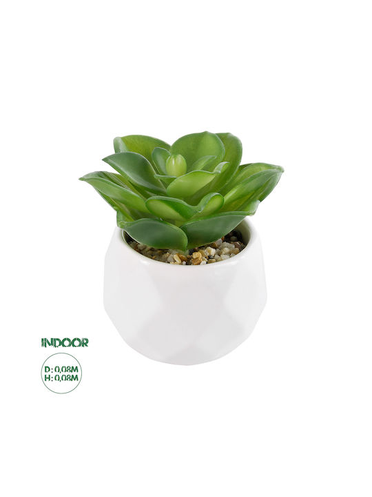 Globostar? Artificial Garden Succulent Echeveria 21003 Διακοσμητικό Φυτό Παχύφυτο Εχεβέρια Υ8cm