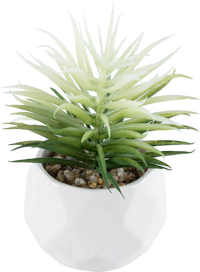 Globostar Künstlicher Garten Sukkulente Senecio 20997 Dekorative Pflanze Sukkulente Senecio H12cm