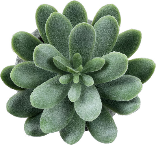 Globostar Suculentă Artificială de Grădină Sedeveria Plantă Decorativă Suculentă Sedeveria H10.5cm GloboStar