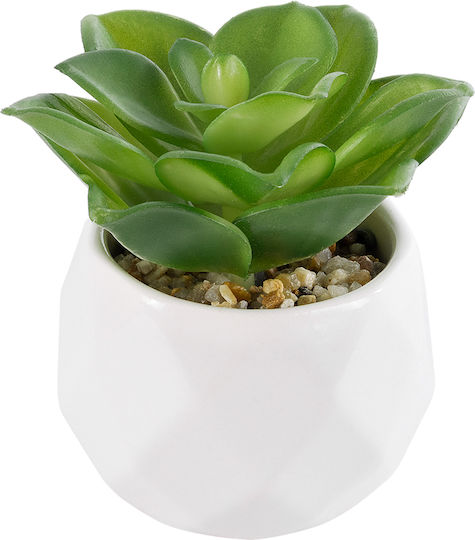 Globostar Artificial Garden Succulent Echeveria 21003 Decorative Plant Succulent Echeveria H8cm