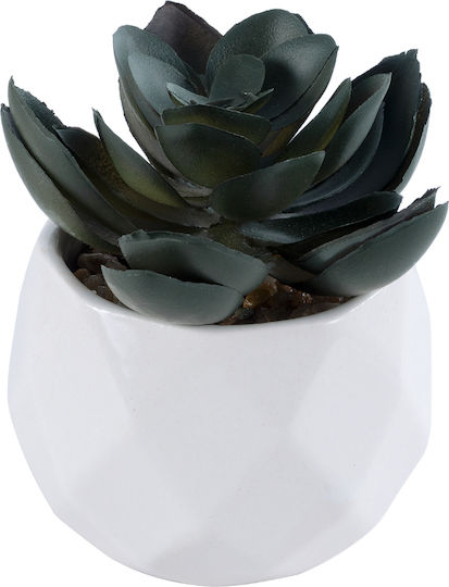 Globostar Artificial Garden Succulent Echeveria 20990 Decorative Plant Succulent Echeveria H8.5cm