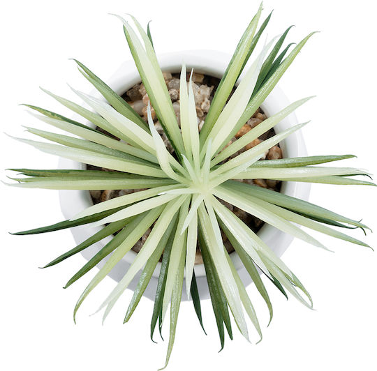 Globostar Künstlicher Garten Sukkulente Senecio 20997 Dekorative Pflanze Sukkulente Senecio H12cm