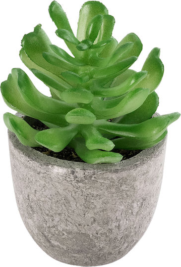 Globostar? Artificial Garden Succulent Crassula 21014 Decorative Thick Succulent Plant Υ11.5cm