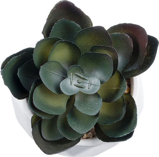 Globostar Artificial Garden Succulent Echeveria 20990 Decorative Plant Succulent Echeveria H8.5cm