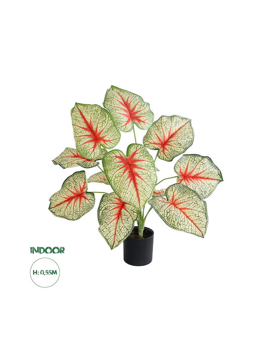 Globostar Artificial Garden Caladium 20932 Decorative Plant Caladium H55cm