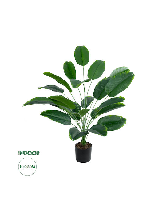 Globostar? Artificial Garden Young Banana 20916 Διακοσμητικό Φυτό Νεαρή Μπανανιά Υ80cm