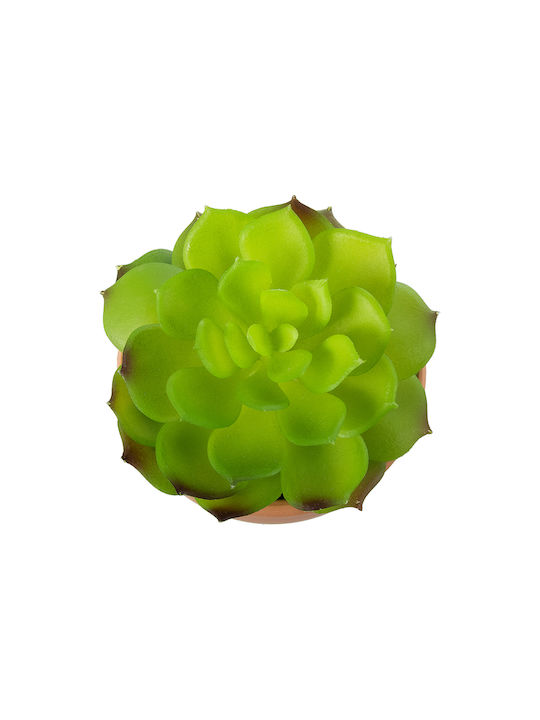 Изкуствени градински суккуленти Echeveria 21049 от Globostar - декоративна плътна суккулентна растение с височина 14см