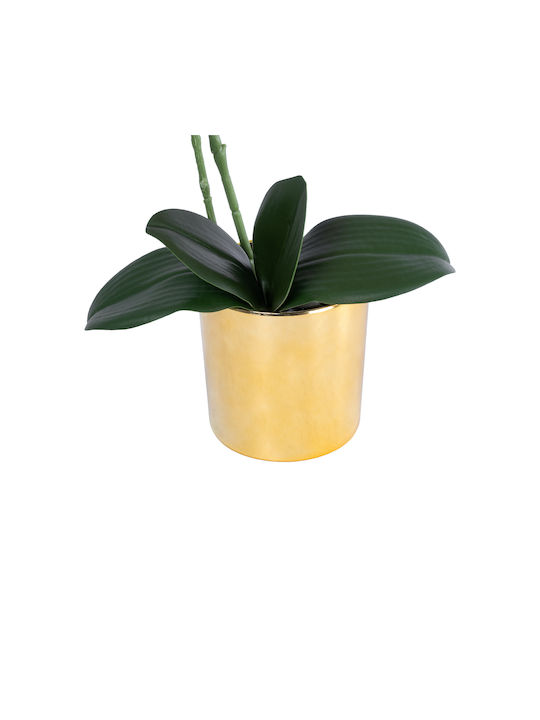 Globostar Artificial Garden Salmon Pink Orchid 21129 Decorative Plant Fuchsia Orchid H43cm