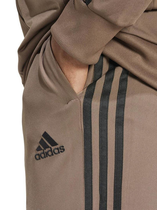 3-Stripes Tracksuit Glossy with Elastic Brown