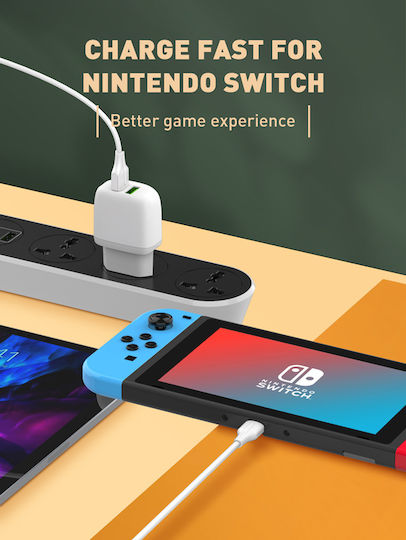 Ldnio USB 3.1 Kabel USB-C männlich - USB-C 65W PD Weiß 1m