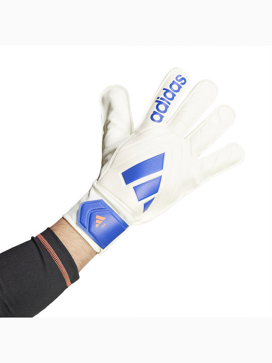 adidas Copa Gl Clb Adults Goalkeeper Gloves White