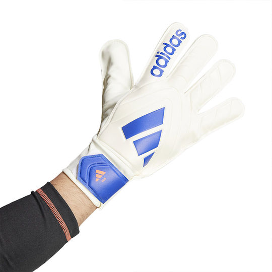 adidas Copa Gl Clb Adults Goalkeeper Gloves White