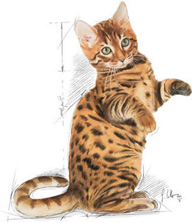 Kitten Ξηρά Τροφή για Ανήλικες Στειρωμένες Γάτες με Τόνο 2kg